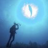 PADI Digital Underwater Photographer Specialty