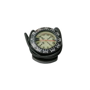 Compass with bungee mount