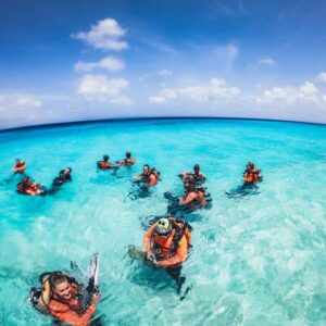 Bonaire, Scandinavian Divemadness 7-14 November 2026